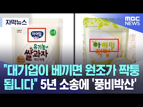 [자막뉴스] "대기업이 베끼면 원조가 짝퉁이 됩니다" 5년 소송에 '풍비박산' (MBC뉴스)