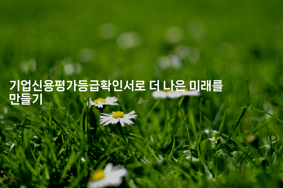 기업신용평가등급확인서로 더 나은 미래를 만들기2-어려우니