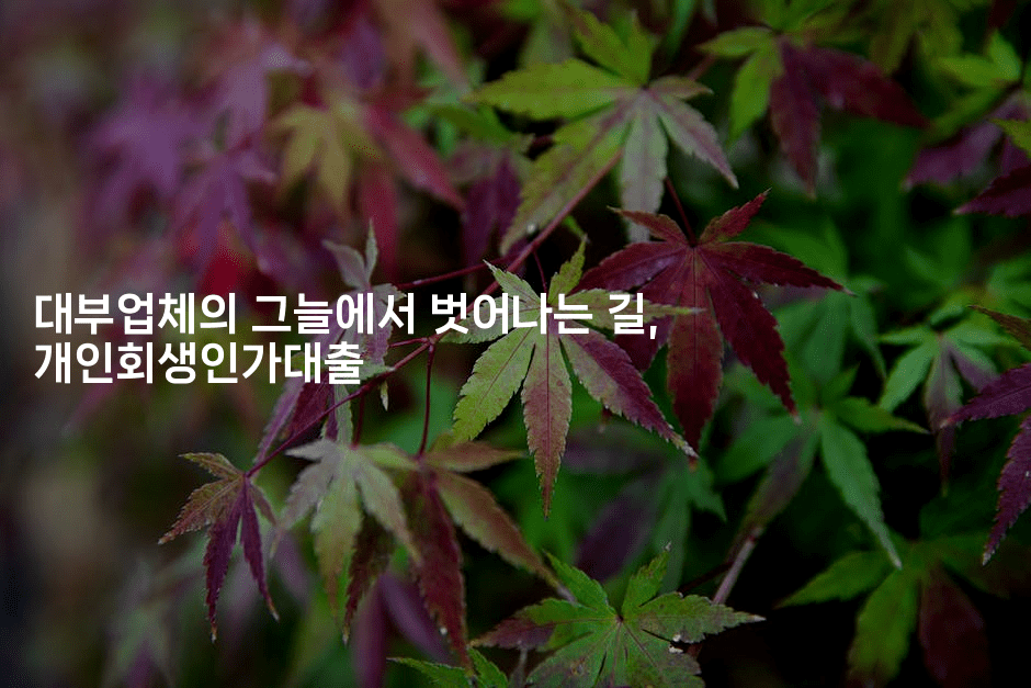 대부업체의 그늘에서 벗어나는 길, 개인회생인가대출