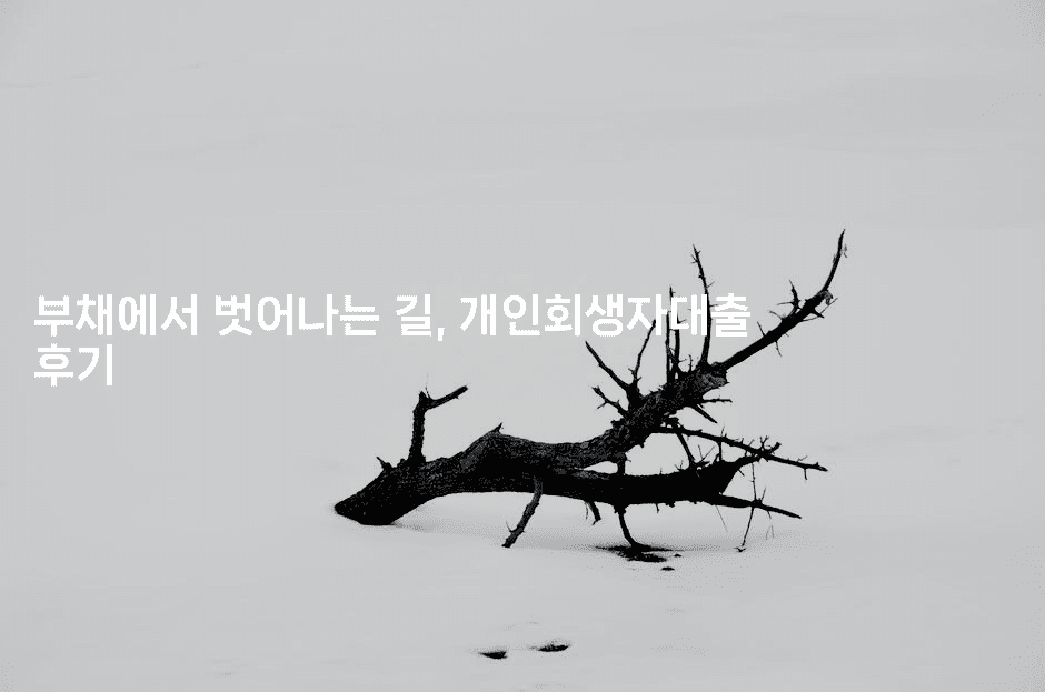 부채에서 벗어나는 길, 개인회생자대출 후기-어려우니