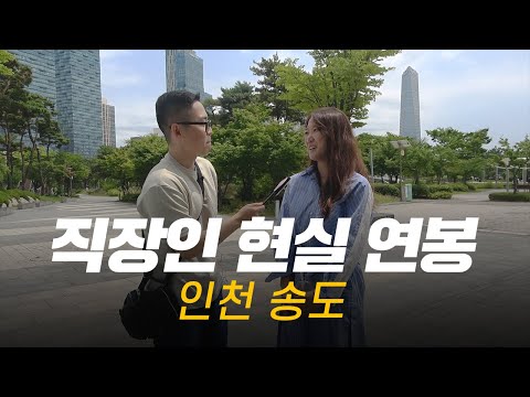 솔직히, 연봉 얼마 받으세요? 직무, 연차별 현실 연봉 | 인천 송도