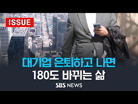 은퇴한 대기업 임원 "완전히 내려놨죠" - '은퇴 없는' 한국인…쉽지 않은 '제2의 삶' (이슈라이브) / SBS