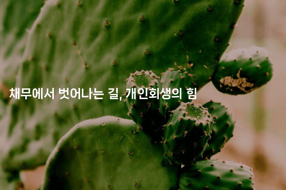 채무에서 벗어나는 길, 개인회생의 힘-어려우니