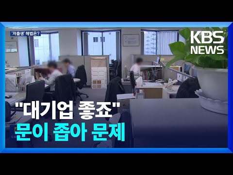 저출생과 입시 경쟁 해법은?…KDI “대기업 많아져야” / KBS  2024.02.28.