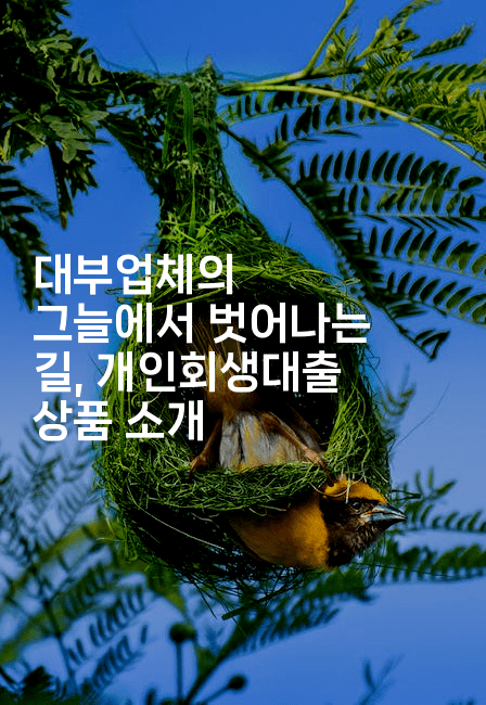 대부업체의 그늘에서 벗어나는 길, 개인회생대출 상품 소개-어려우니