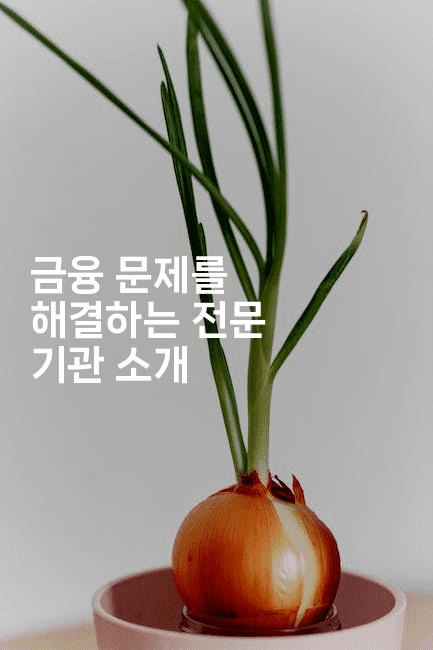 금융 문제를 해결하는 전문 기관 소개-어려우니