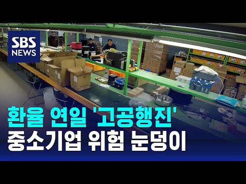 환율 연일 '고공행진'…중소기업 위험 눈덩이 / SBS