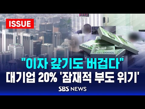 "이자 갚기도 버겁다" 대기업 20% '잠재적 부도 위기'.. 내년 한국 경제 '시한폭탄' 터지나 (이슈라이브) / SBS