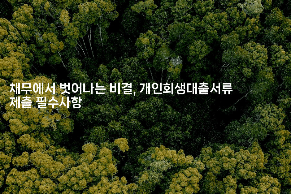 채무에서 벗어나는 비결, 개인회생대출서류 제출 필수사항-어려우니