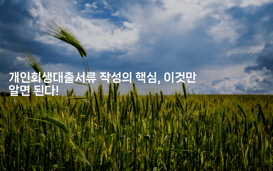 개인회생대출서류 작성의 핵심, 이것만 알면 된다!-어려우니